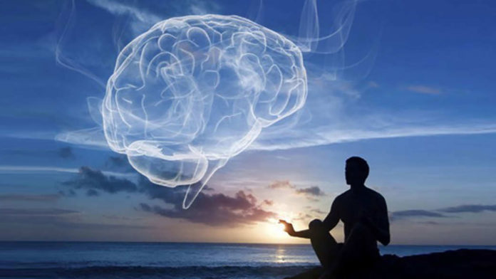Nörobilim Temelli Mindfulness Eğitimi