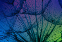 6 Kasım 2020 – Online Nörobilim Temelli Mindfulness Eğitimi